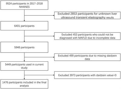 Association between daidzein intake and metabolic associated fatty liver disease: A cross-sectional study from NHANES 2017–2018